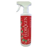 florogen strawberry 500ml